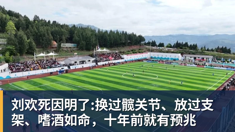 刘欢死因明了:换过髋关节、放过支架、嗜酒如命，十年前就有预兆